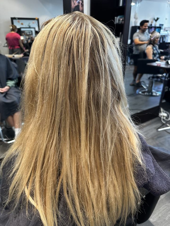 Hair before a color change, seen from behind