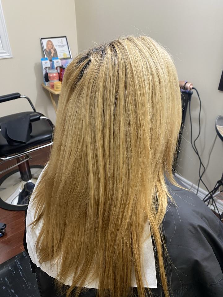 Hair before highlights, seen from behind