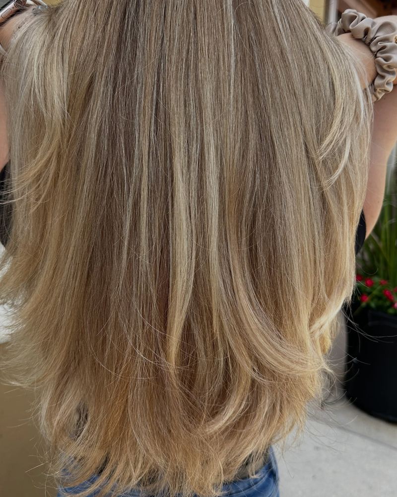 Hair after a layered cut and color, seen from behind
