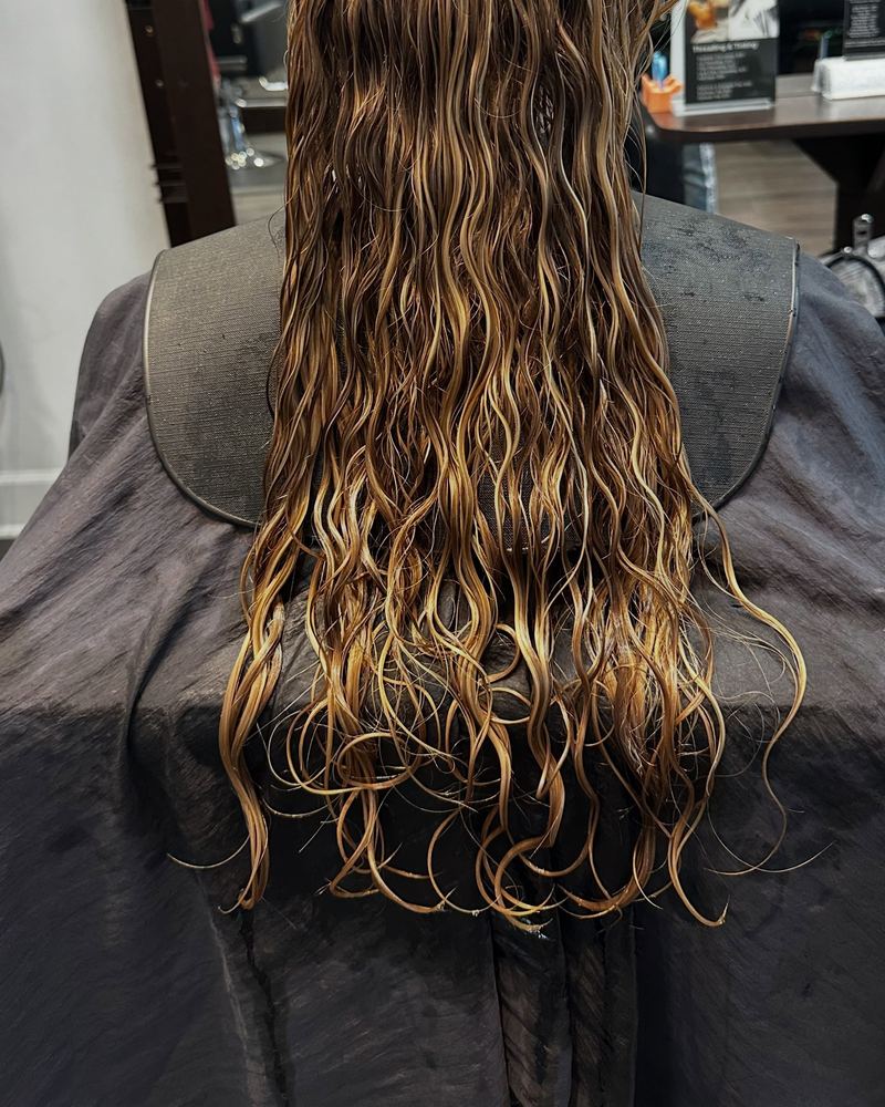 Hair before a layered cut and color, seen from behind
