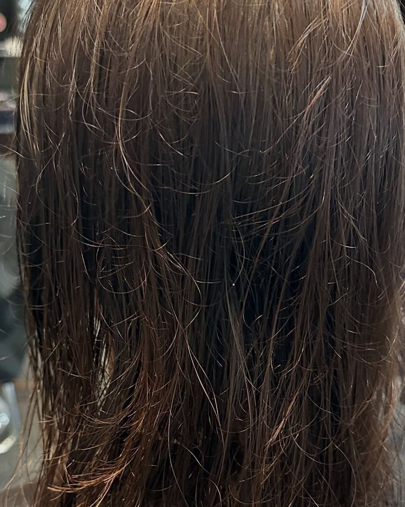 Hair before nanoplasty, seen from behind
